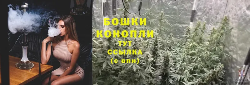 Каннабис SATIVA & INDICA  Снежногорск 